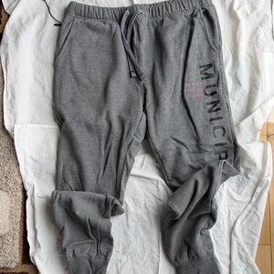 Municipal gray training day joggers. Medium